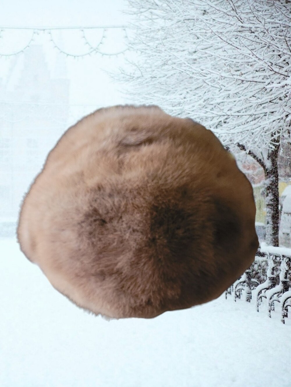 Plush Round  Fur Hat in Warm